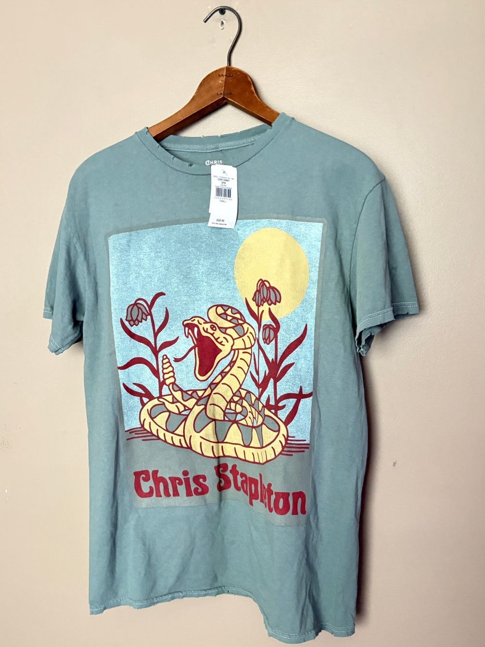 Chris Stapleton Snake t-shirt music tee BUCKLE distressed blue green NWT sz S